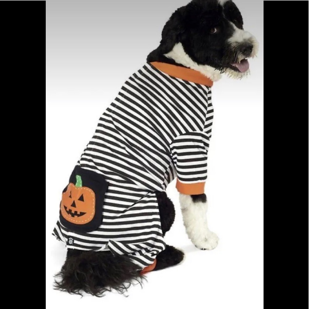 Dog Striped Pumpkin Costume PJ’s Large By Petrageous Design 36-65 lb